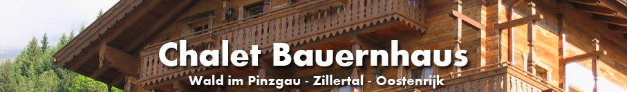 Chalet Bauernhaus - Wald im Pinzgau - Zillertal - Oostenrijk